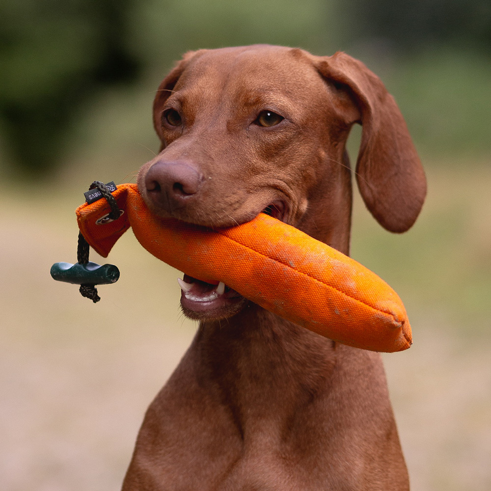 Hund mit Dummy Junior 250g - Romneys