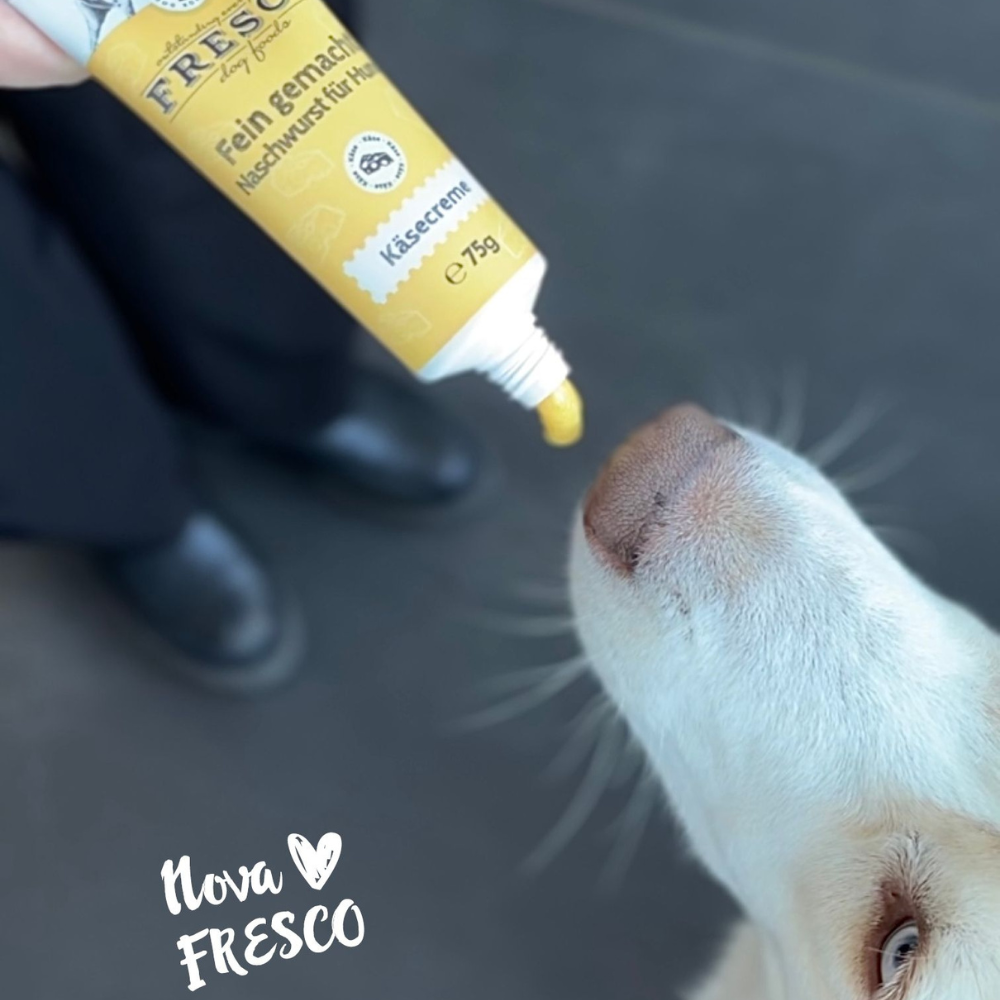 Hund mit Futtertube Naschwurst Käsecreme - FRESCO