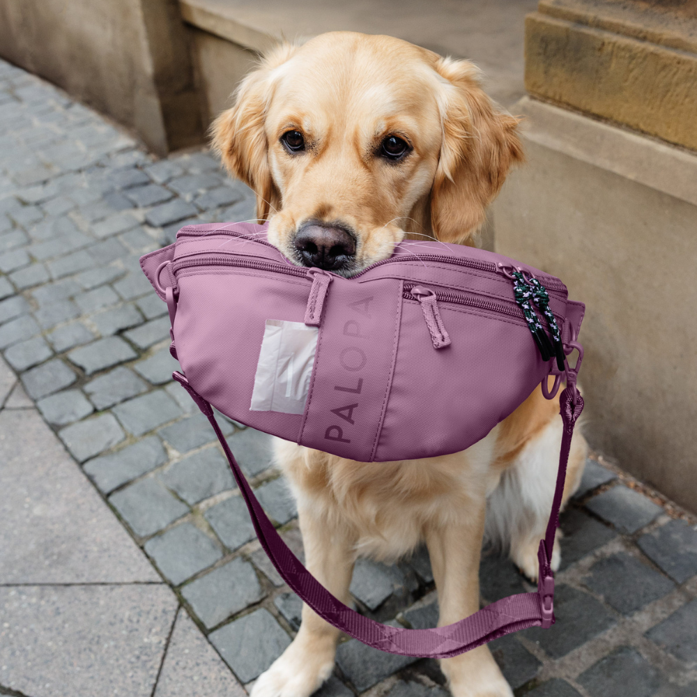 Hund mit Gassitasche EMMA Berry - PALOPA