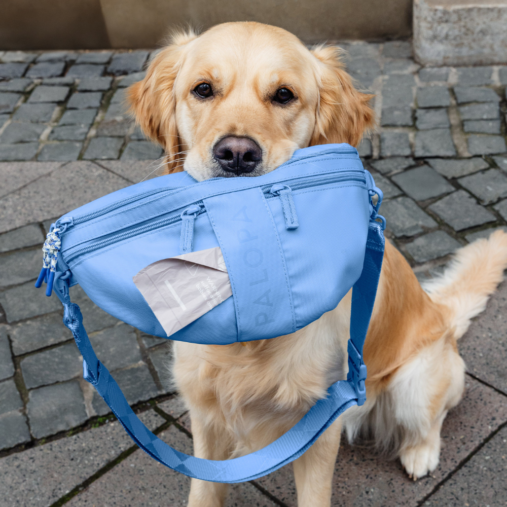 Hund mit Gassitasche EMMA Sky Blue - PALOPA