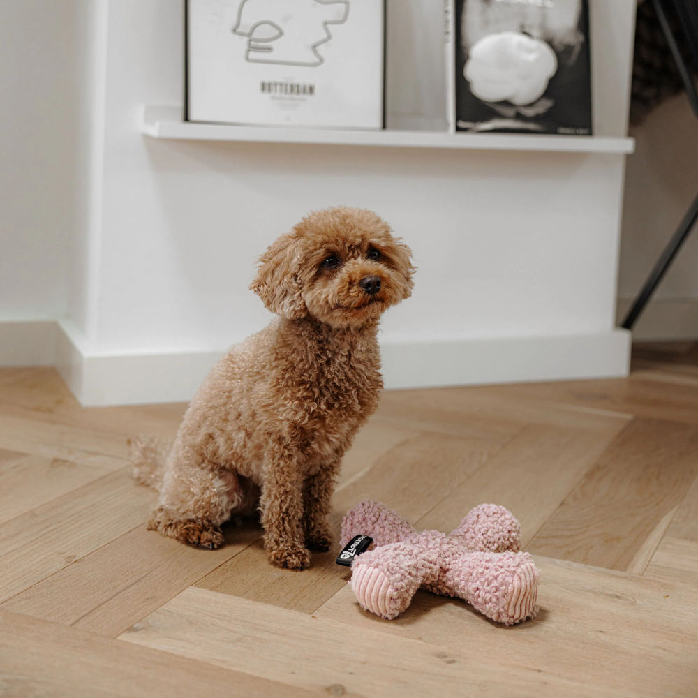 Hund mit Hunde Apportierspielzeug ZIGGY Rosa - district 70