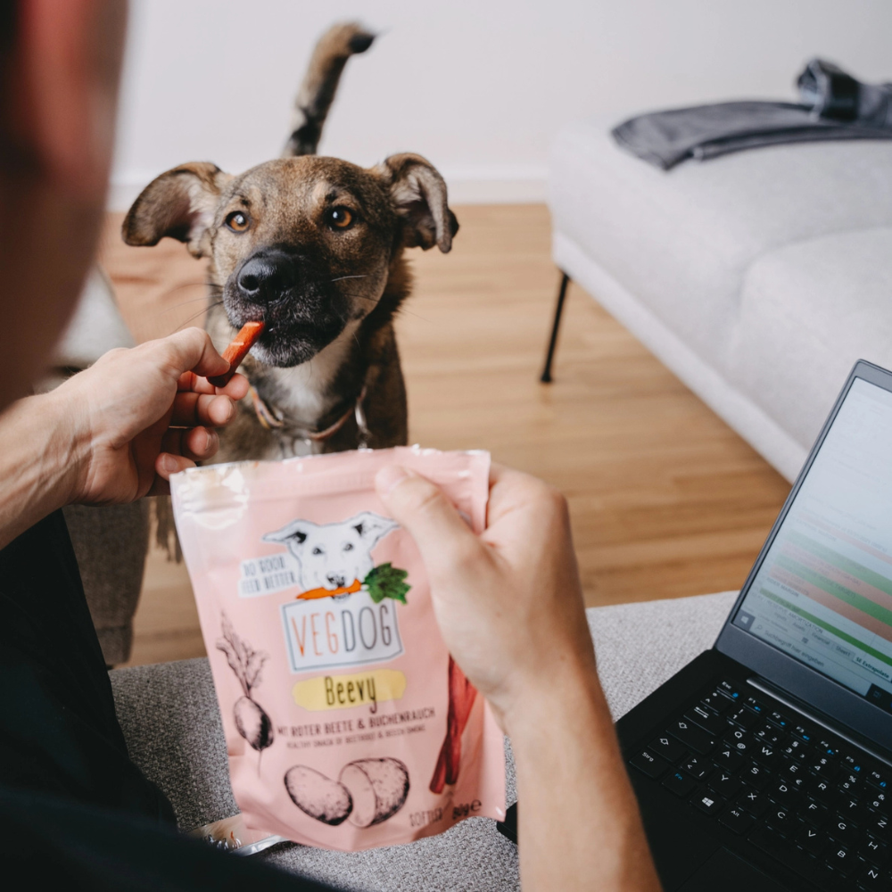 Hund mit Hundesnack Beevys mit Rote Beete & Buchenrauch - VEGDOG