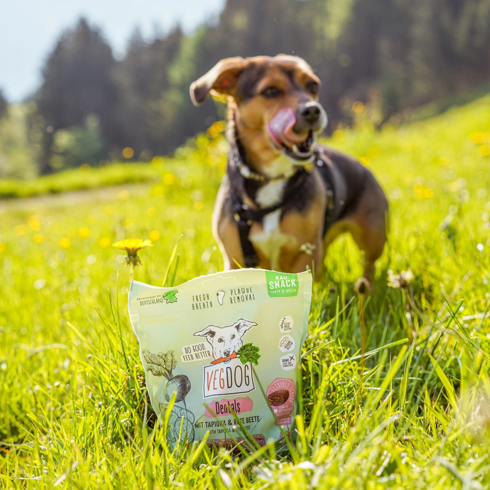 Hund mit Hundesnack Dentals Kaustange mit Tapioka & Rote Beete - VEGDOG