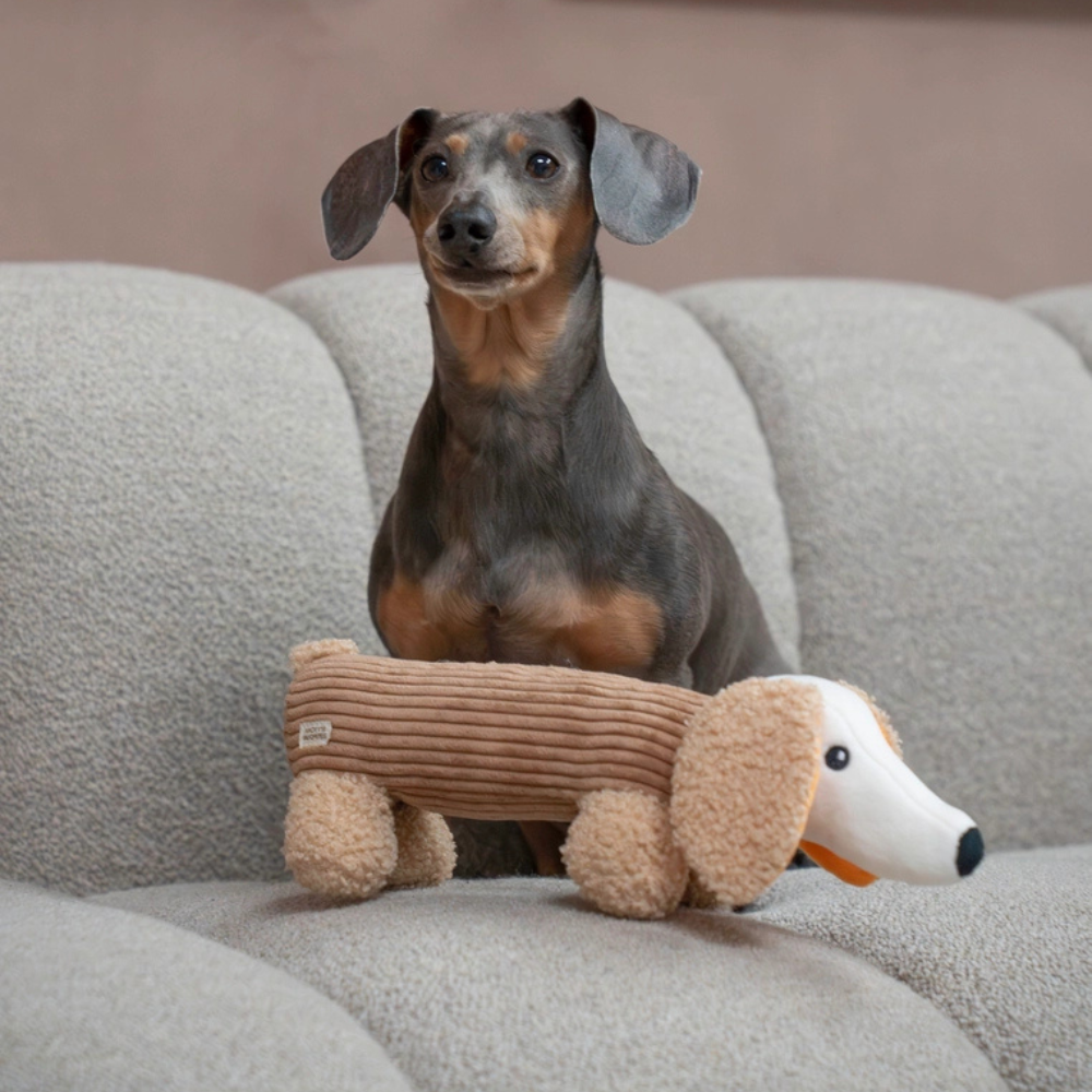 Hund mit Hundespielzeug Dackel Micky "Mocha" - Micky's Favorites