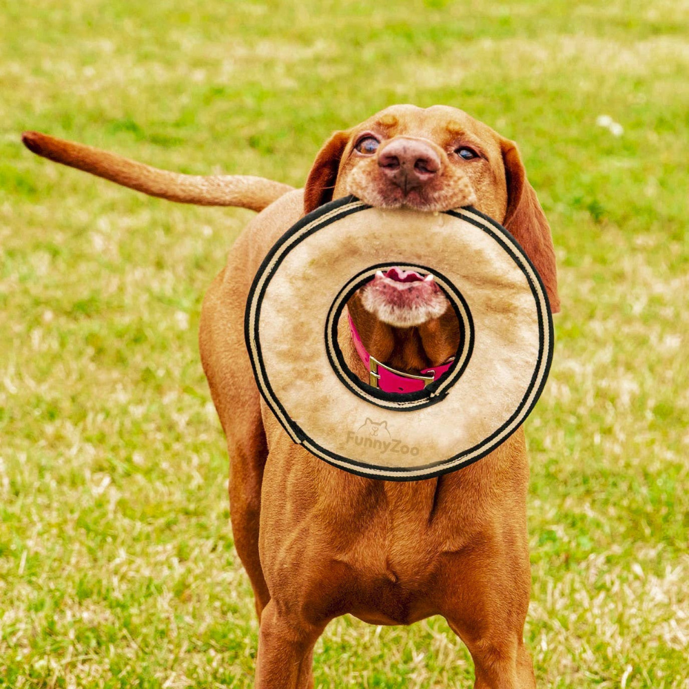 Hund mit Hundespielzeug Frisbee aus Wildleder - FunnyZoo