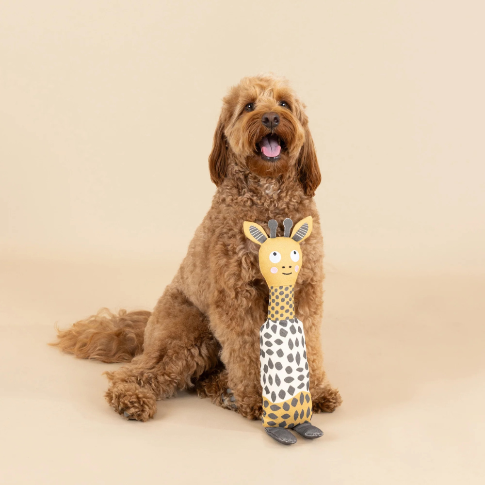 Hund mit Hundespielzeug High There XXL I Earth Friendly XXL - Petshop by Fringe Studio