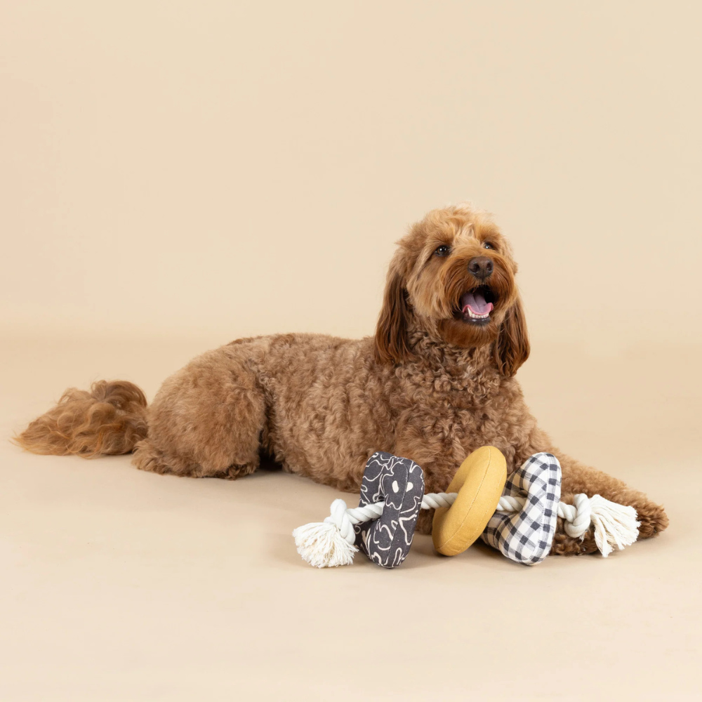 Hund mit Hundespielzeug Roped in | Earth Friendly - Petshop by Fringe Studio