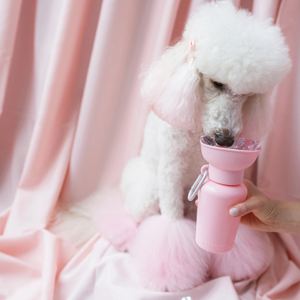 Hund mit Reisetrinkflasche Flip Hundeflasche Rosa Baby limited Edition - springland