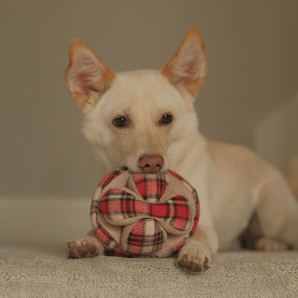Hund mit Schnüffelball MONTI Hundespielzeug Flannel ohne Quietscher - Lambwolf Collective