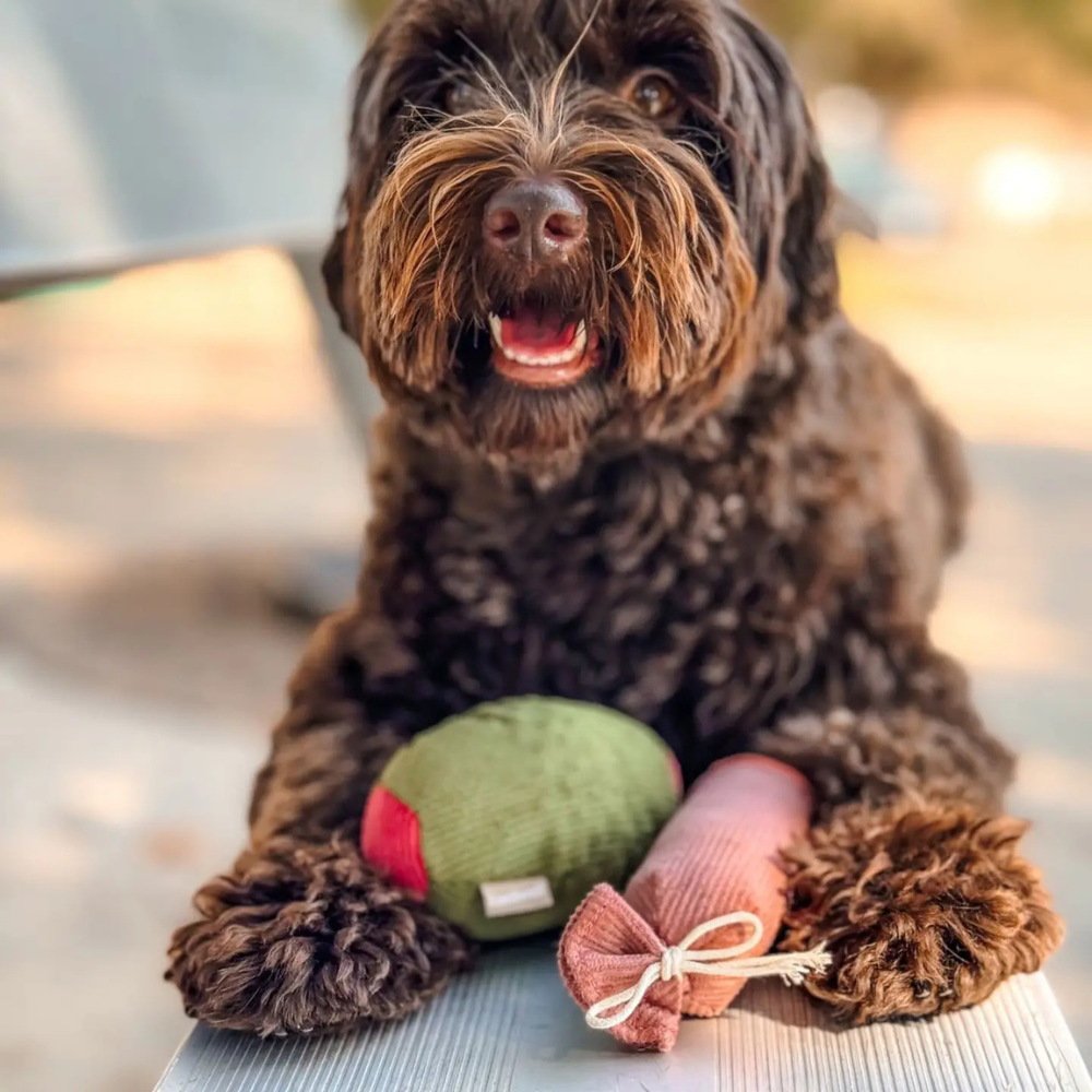 Hund mit Schnüffelspielzeug Olive & Salami - Lambwolf Collective