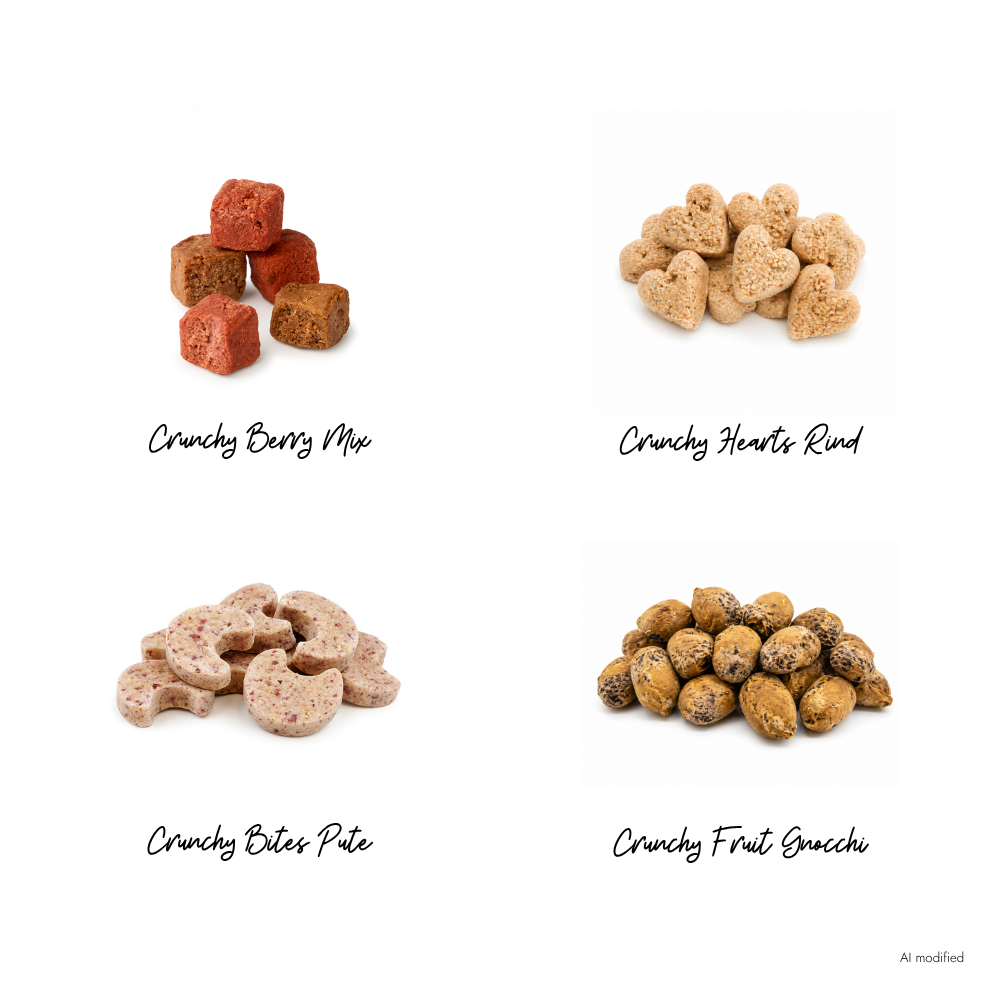 Inhalt 1-4 Hunde Adventskalender 2026 - LOVIN'DOG