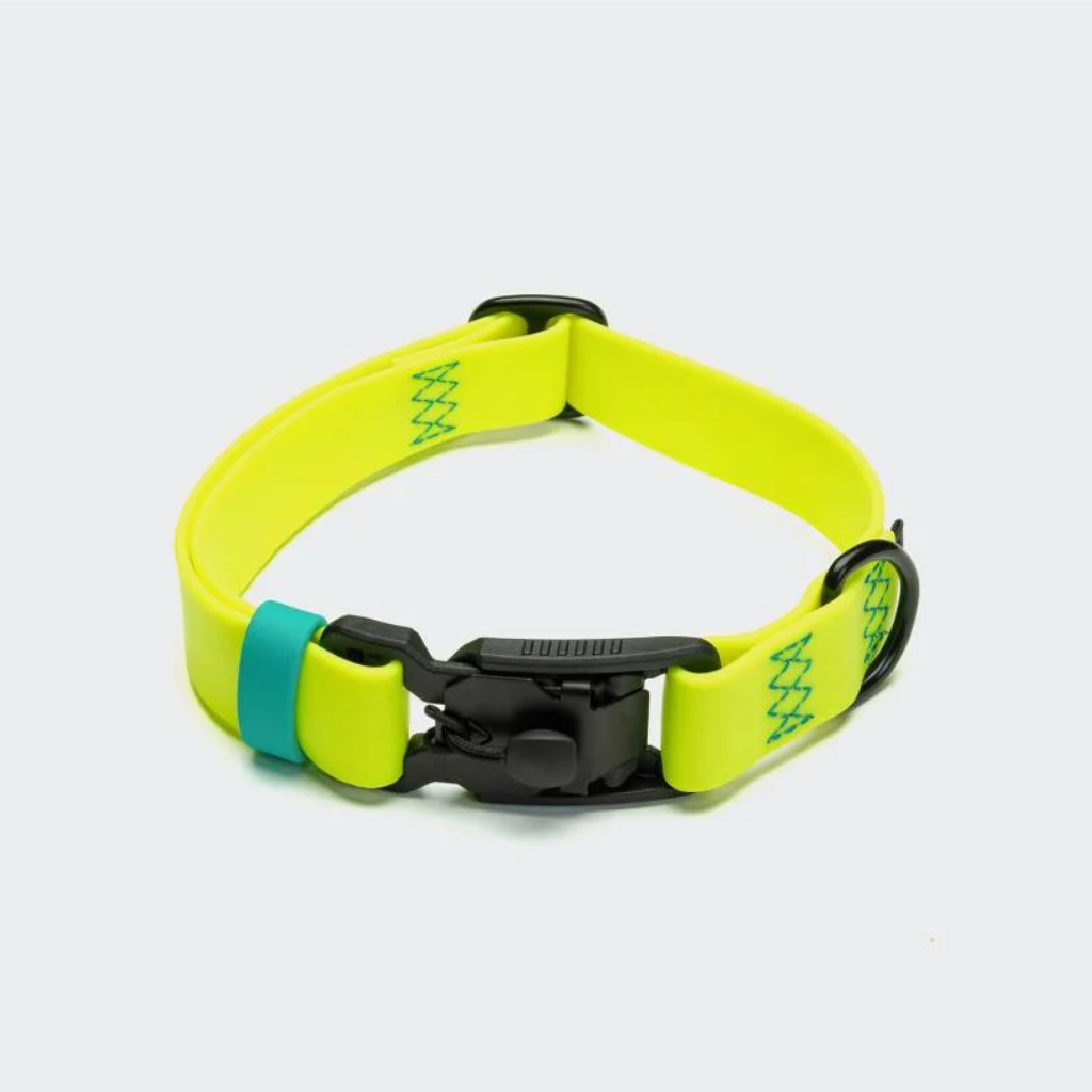 Cloud7 Hundehalsband BioThane Ipanema Neon-Yellow - Aqua