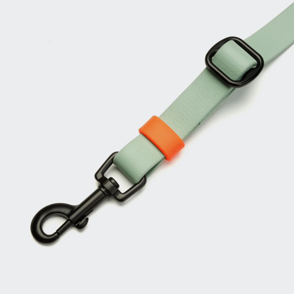 Karabiner Cloud7 Handsfree Hundeleine BioThane Ipanema Mint-Neon Orange