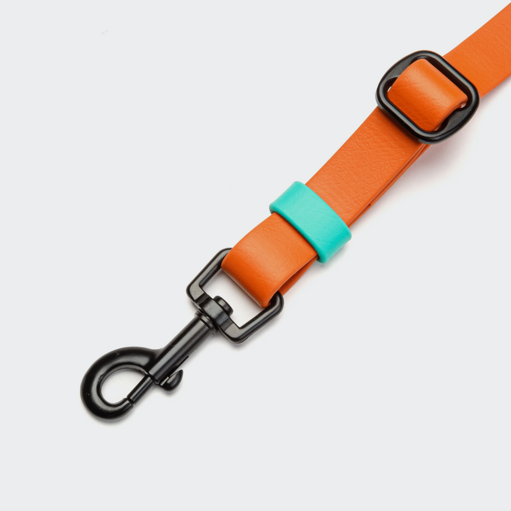 Karabiner Cloud7 Handsfree Hundeleine BioThane Ipanema Orange-Aqua