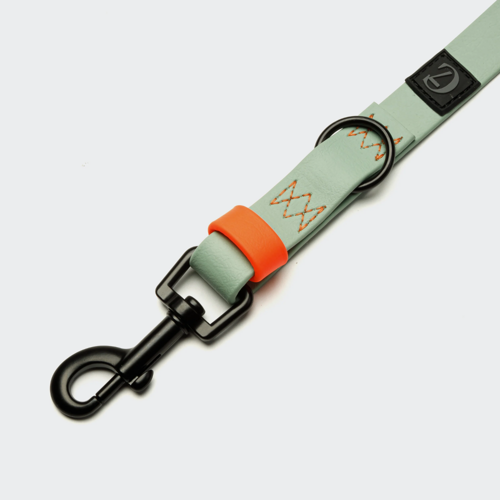 Karabiner & Details Cloud7 Hundeleine verstellbar BioThane Ipanema Mint-Neon Orange