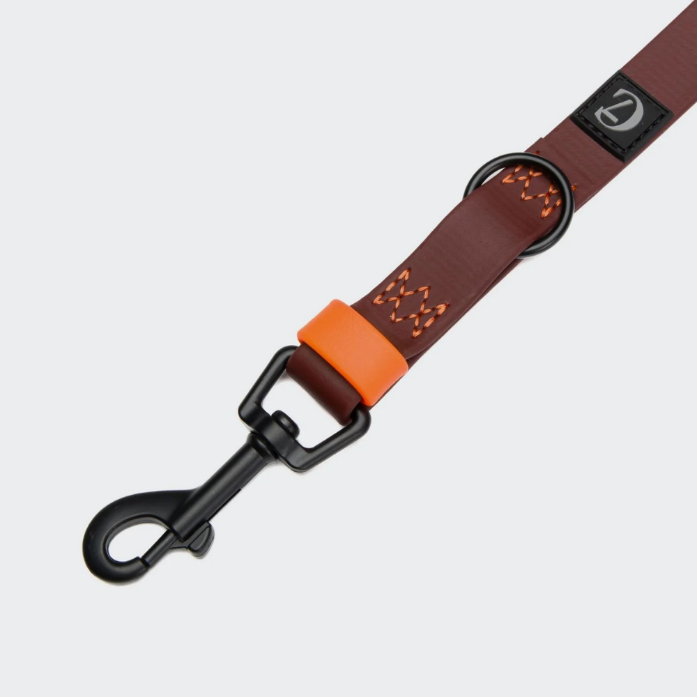 Karabiner & Details Cloud7 Hundeleine verstellbar BioThane Ipanema Aubergine Orange