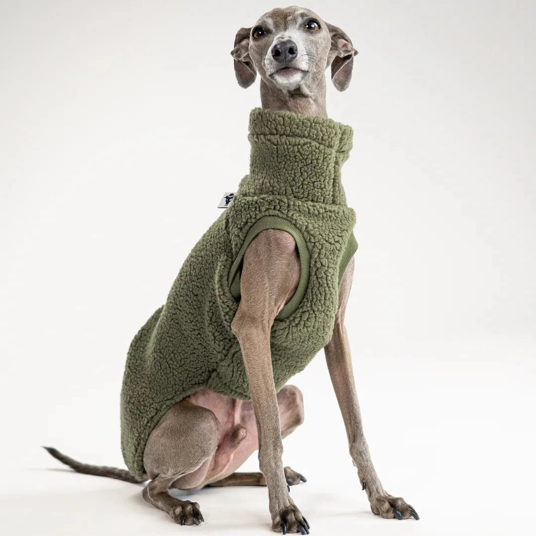 KARMA HUND Longshirt Teddy 2.0 für Windhunde in Dark Olive