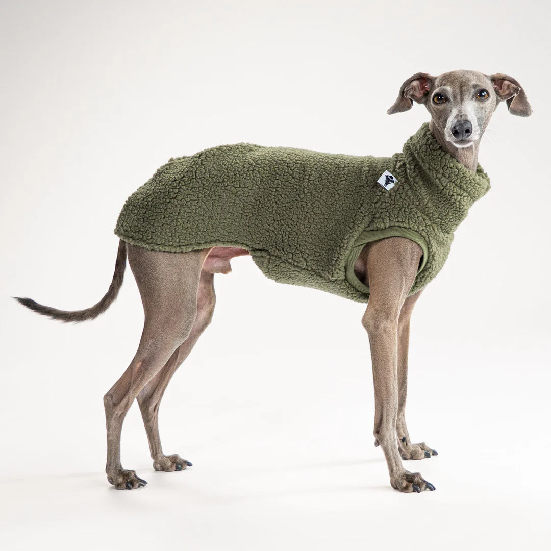 KARMA HUND Longshirt Teddy 2.0 für Windhunde in Dark Olive