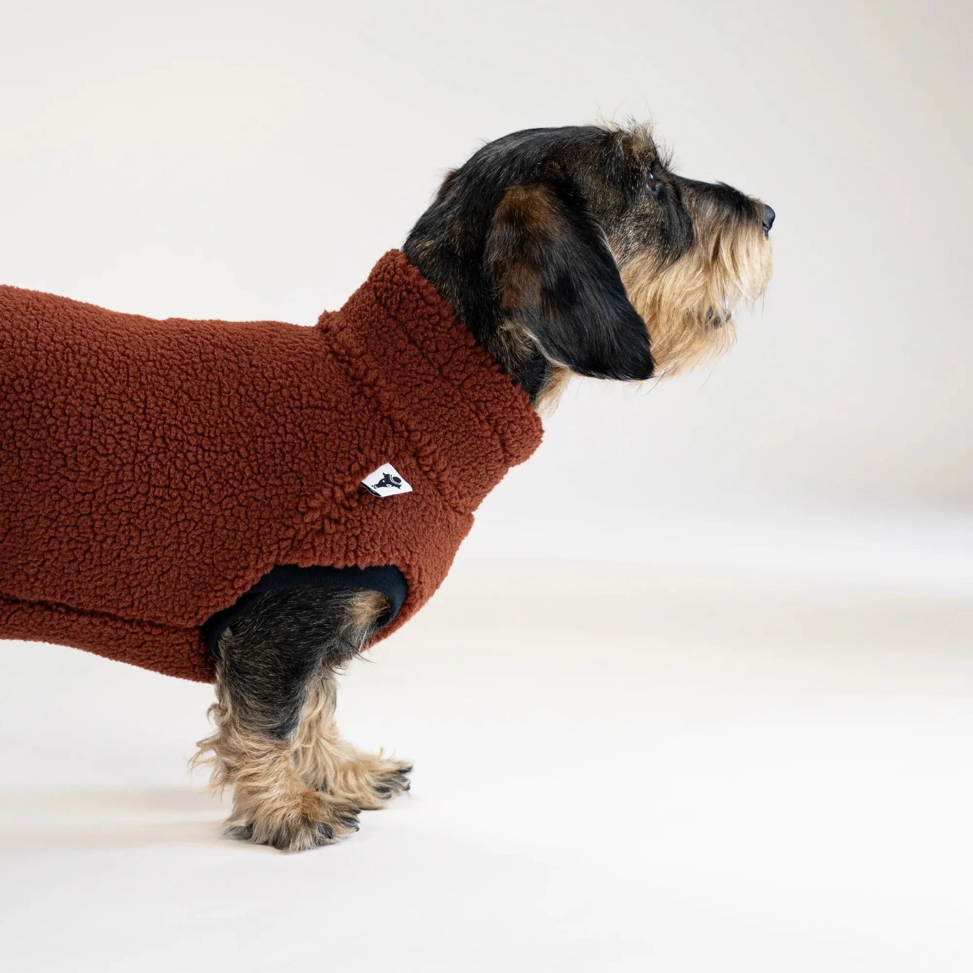 KARMA HUND Teddy Shirt für Dackel in Brown