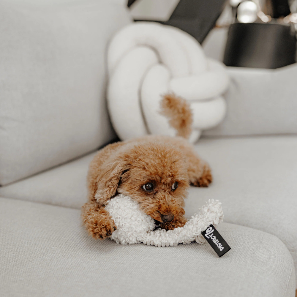 Kleiner Hund mit Apportierspielzeug CHUCK Creme - district 70