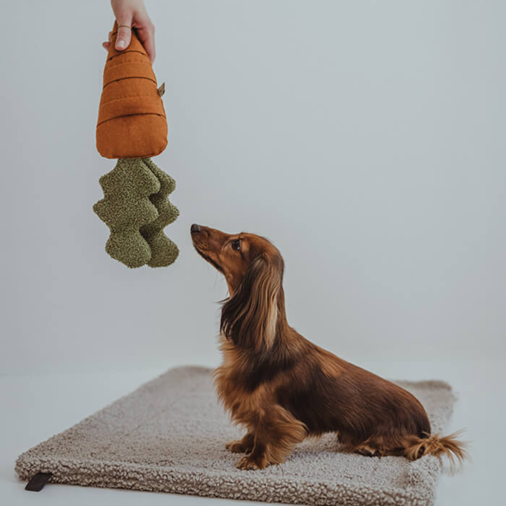 Kleiner Hund mit Schnüffelspielzeug Karotte - Lillabel