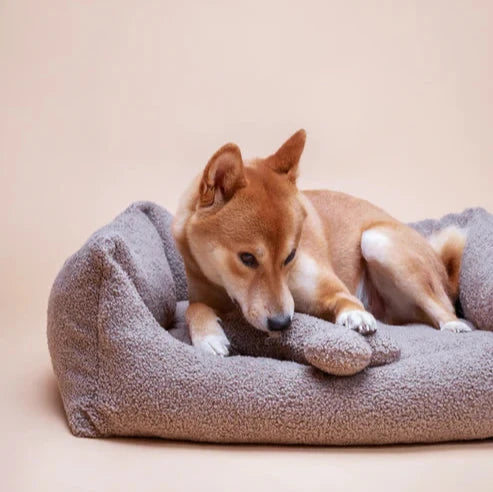 Plüschspielzeug Knochen