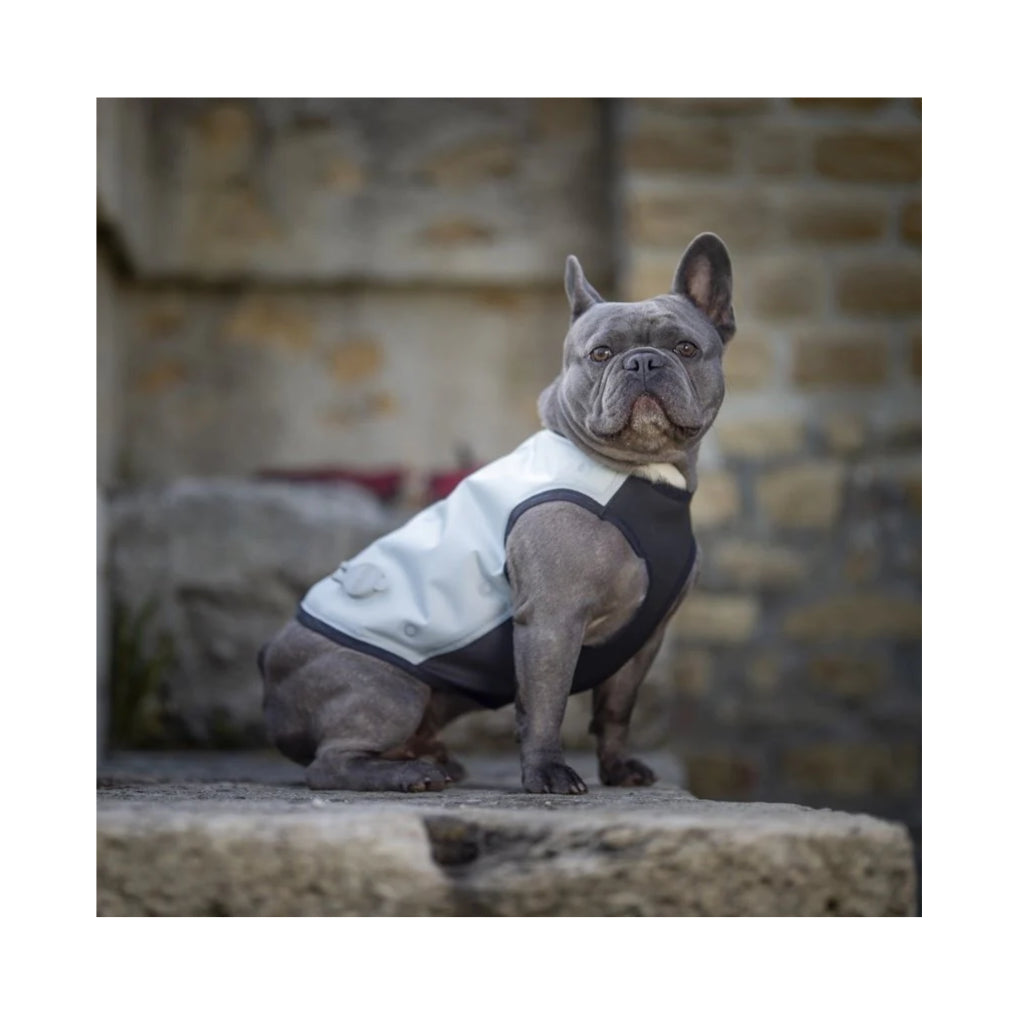 Tragebild Trockene Kühlweste - CANI.COOL - KÜHLT BIS ZU 72 STD.