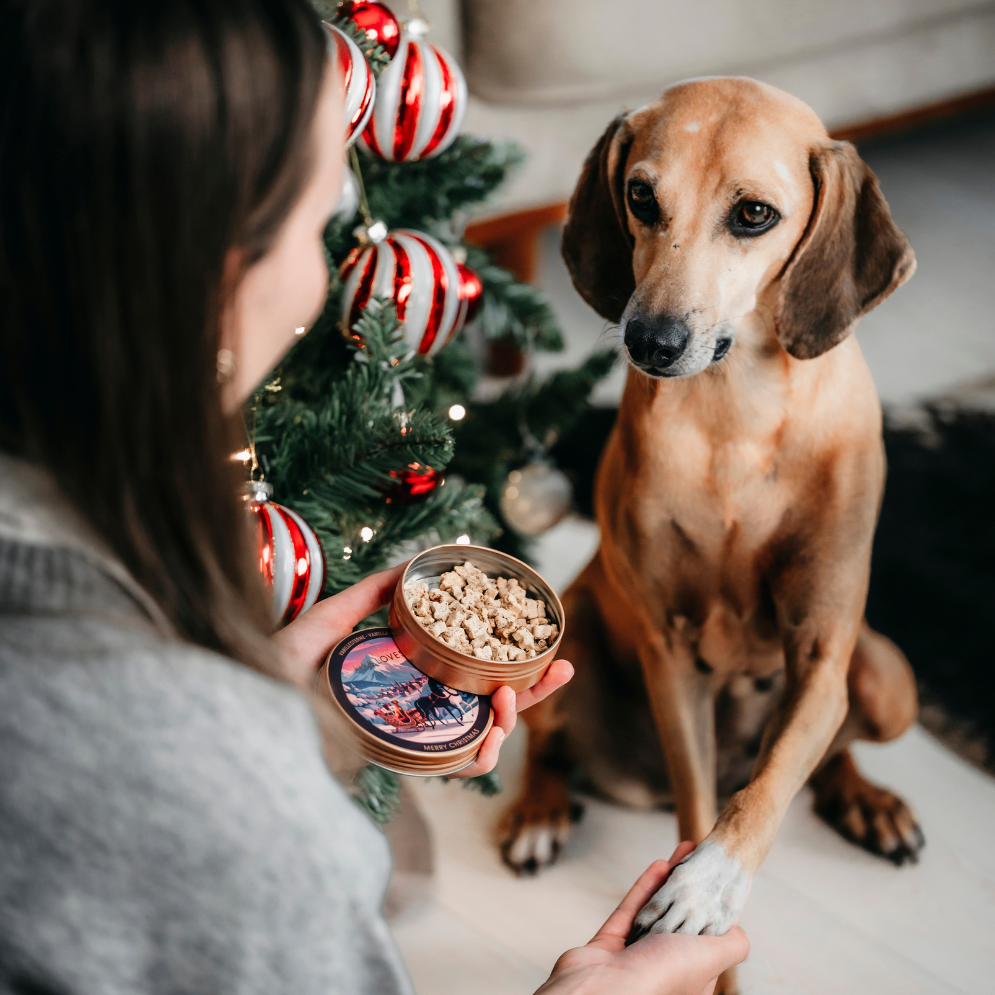 LILA LOVES IT Weihnachts Goodies Dose X-MAS Kokos-Vanille Sterne 2026 Weihnachtsbaum