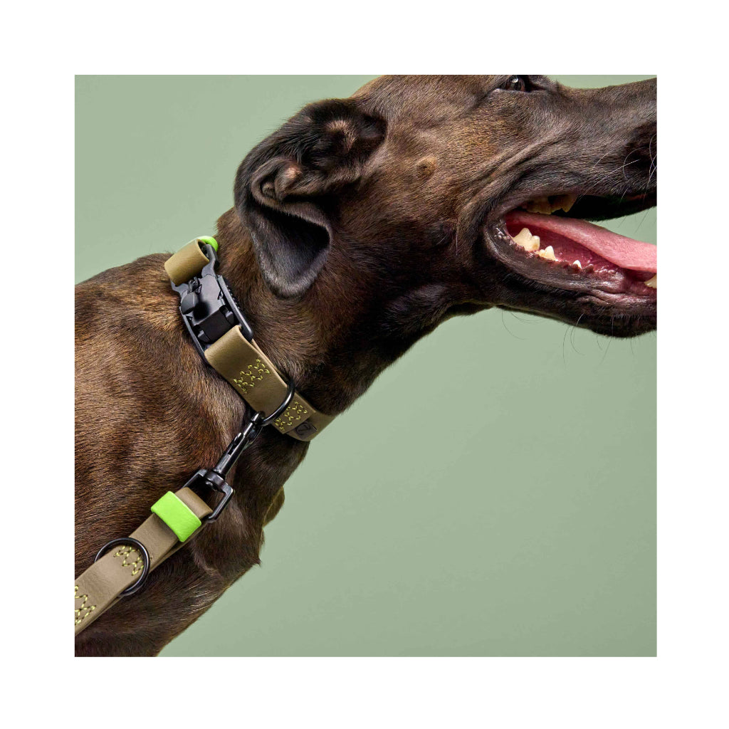 Tragebild Cloud7 Halsband & Hundeleine verstellbar BioThane Ipanema Olive-Neongrün - Cloud7