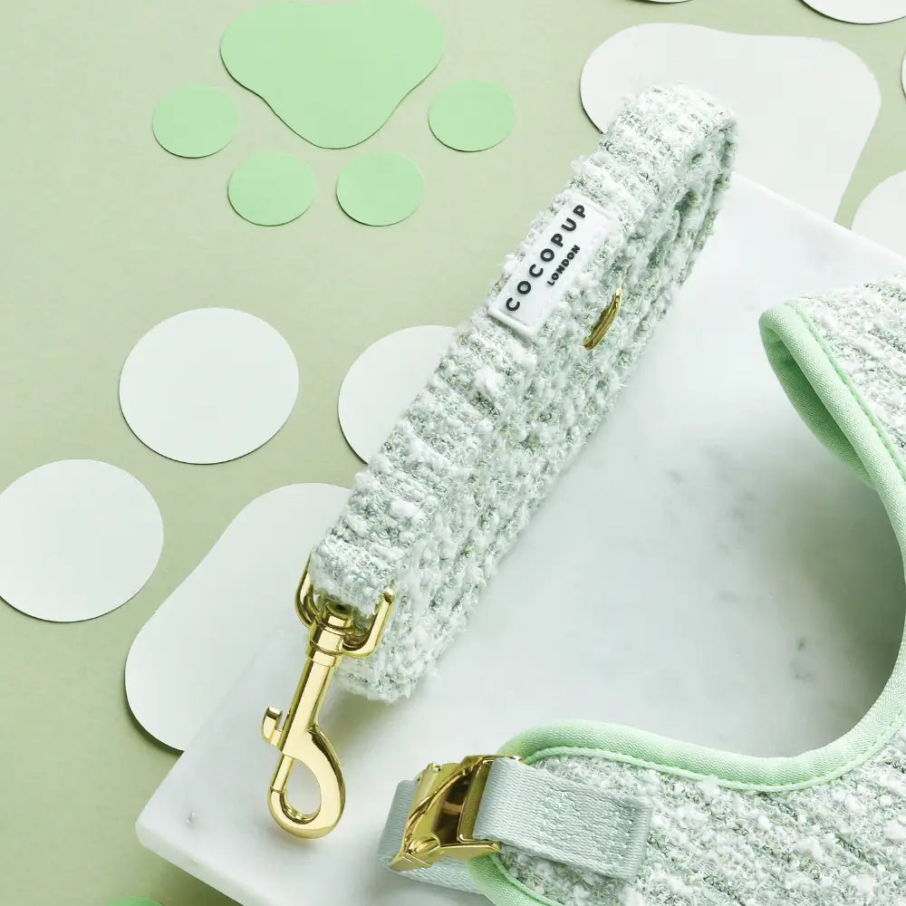 Hundeleine COCO TWEED Matcha - COCOPUP London