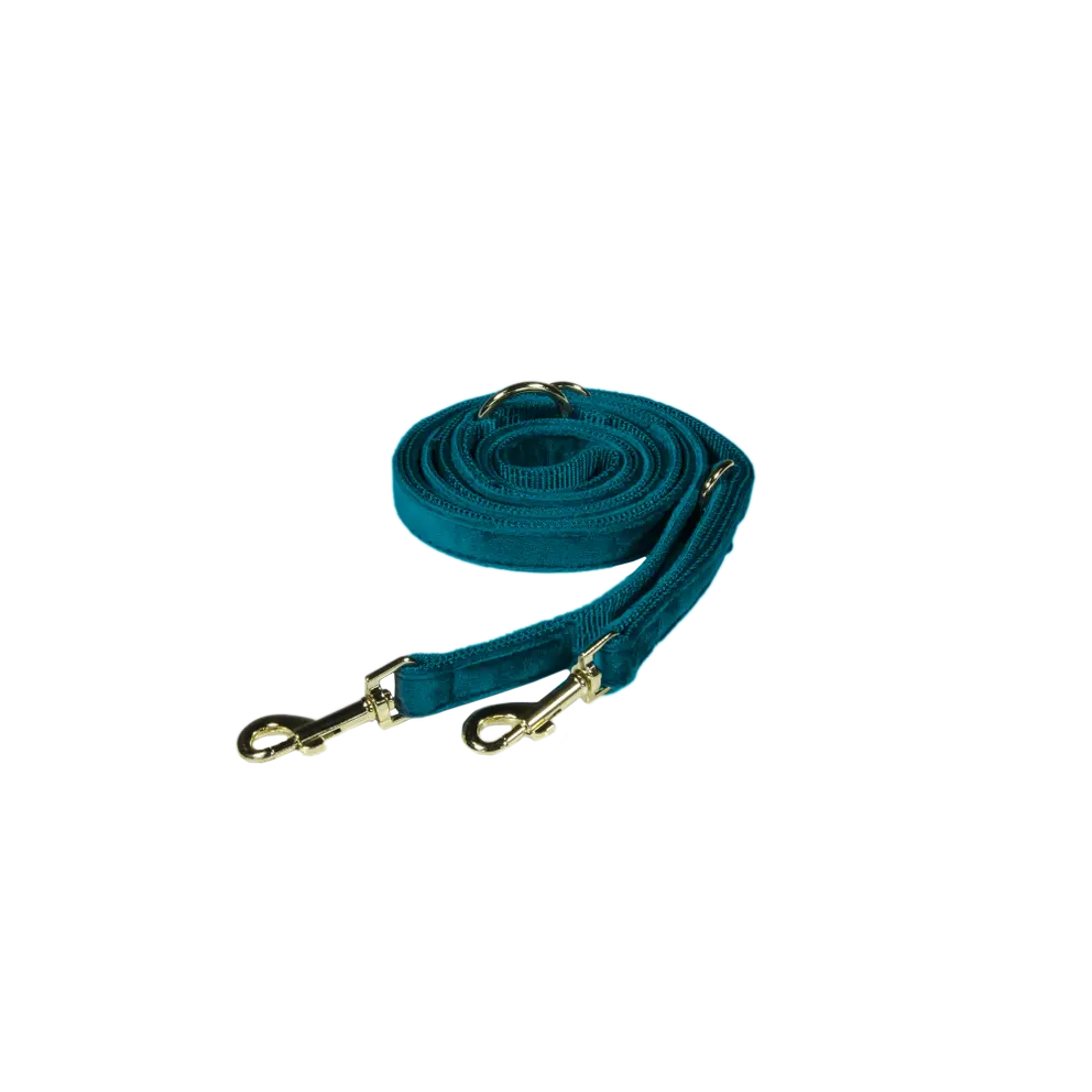 Hundeleine verstellbar VELVET Emerald - Kentucky Dogwear