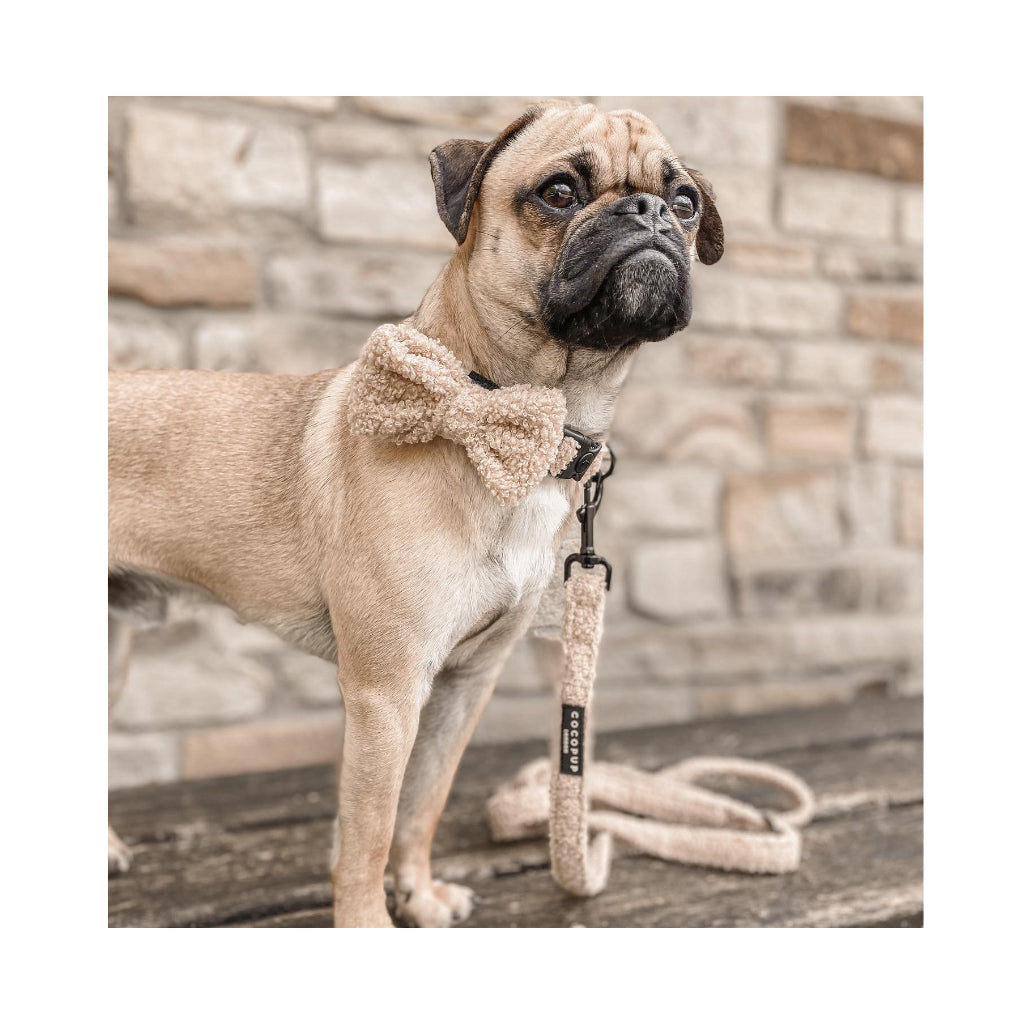 Hundeleine Teddy Beige Rupert