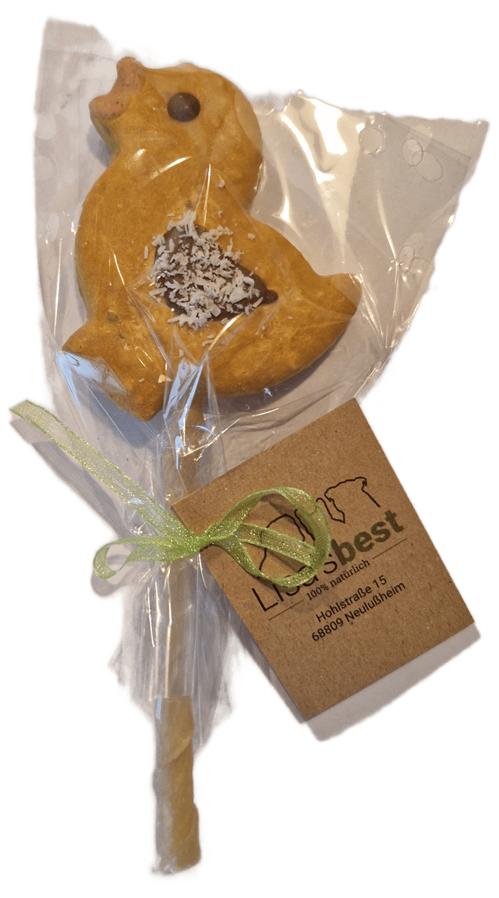 Hunde Lolli Küken Hüttenkäse