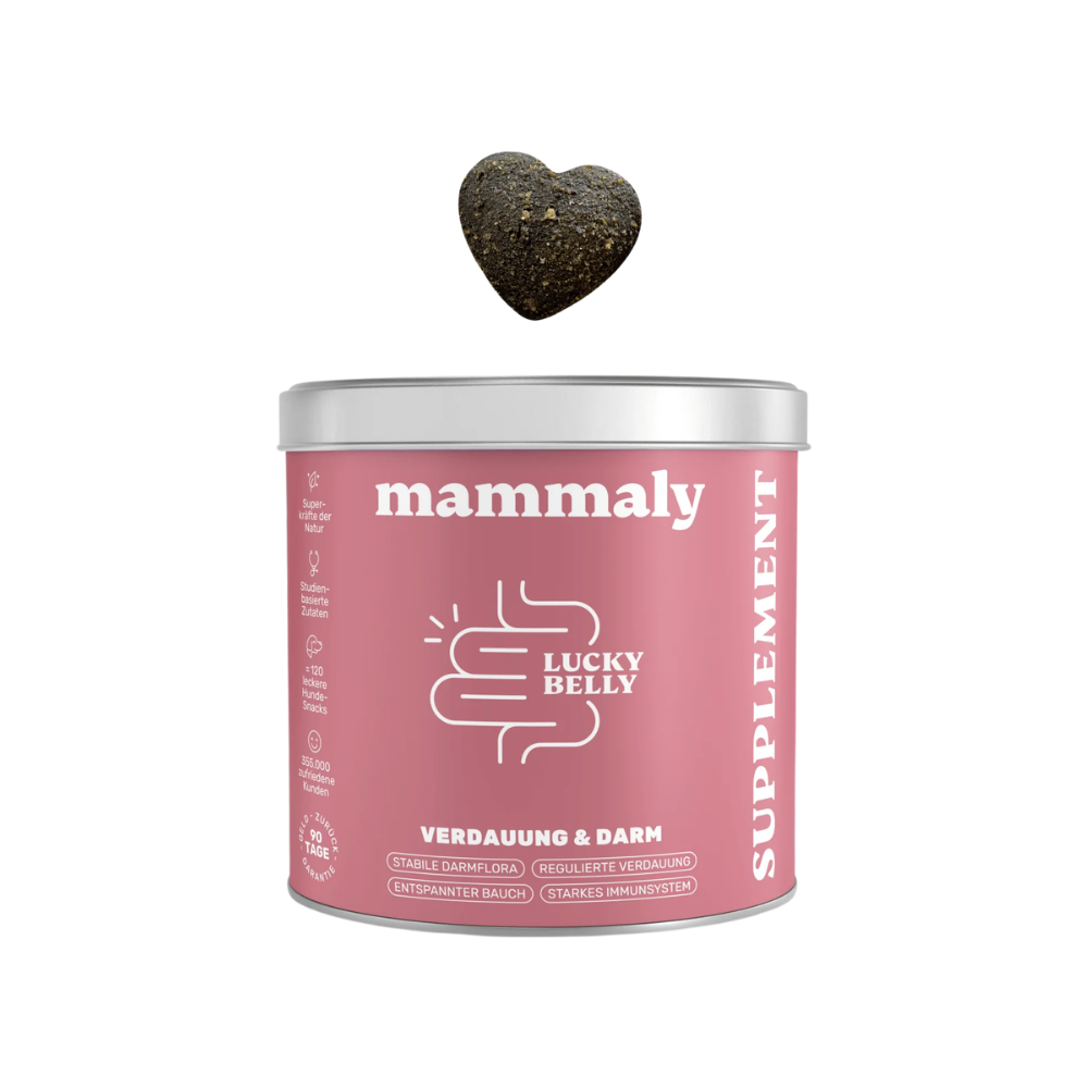 Lucky Belly Darmsnack für Hunde - mammaly