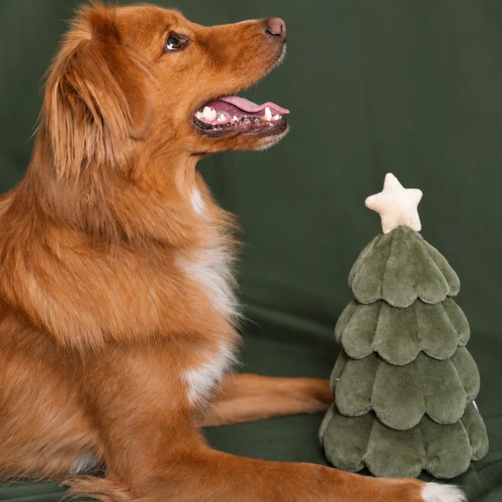 MODERNBEAST Plüschspielzeug für Hunde The Festive Tree Moodbild