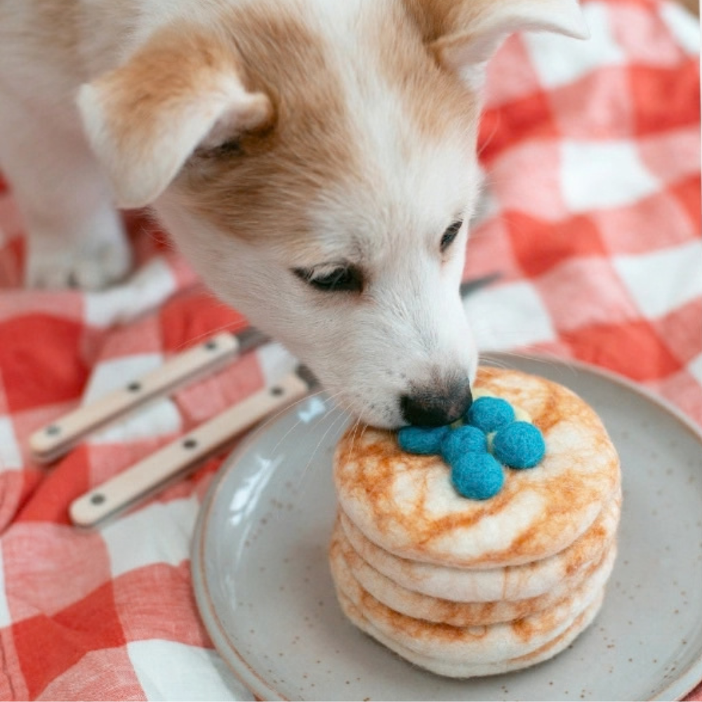 MODERNEBAST Hundespielzeug Stapel Pancakes 100% Wolle Moodbild