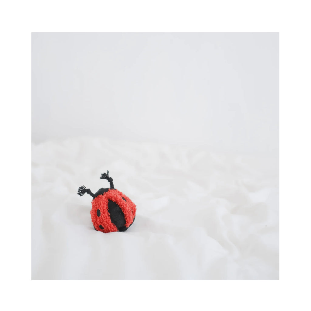 Hundespielzeug Marienkäfer LADYBUG POP für Mini-Hunde 2 - Lambwolf Collective