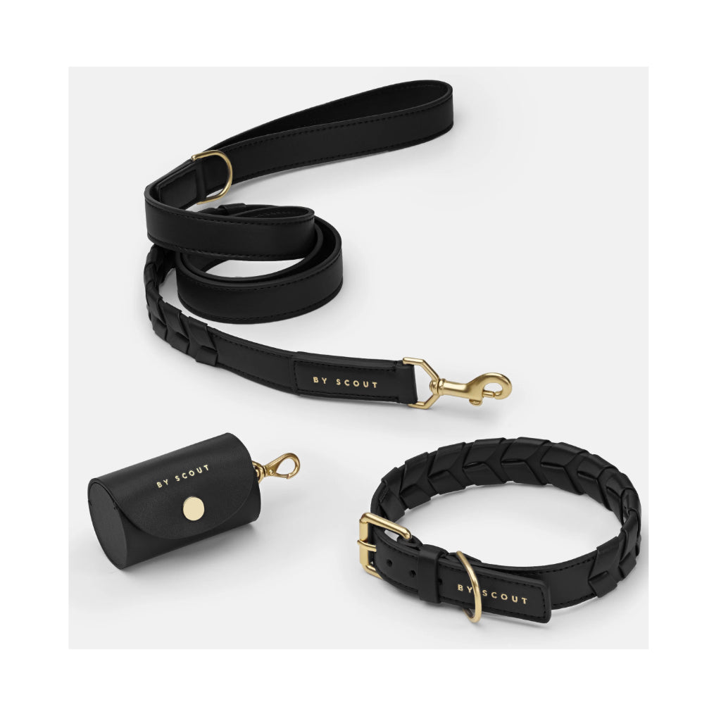 Set Halsband, Leine & Kotbeutelspender Mela Caspita Black Apfelleder - BY SCOUT