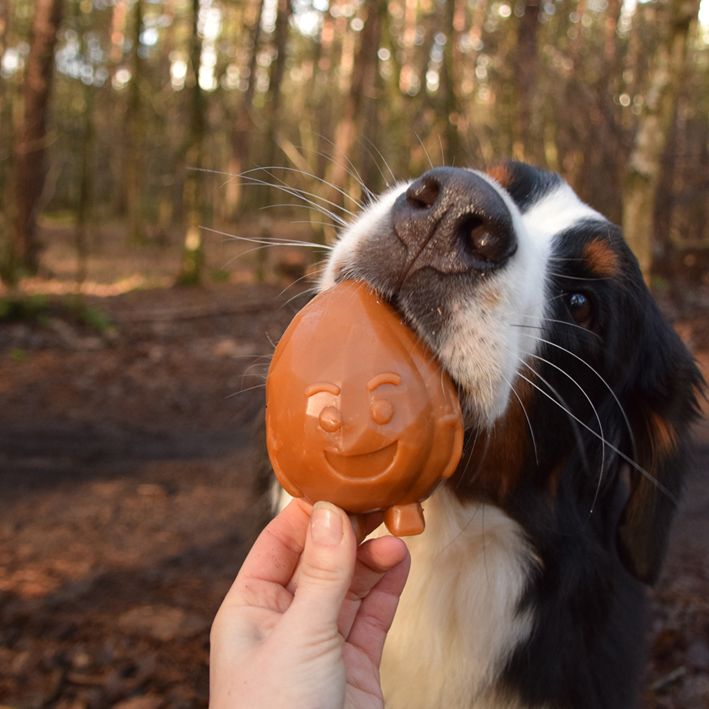 Dental Kausnack Freche Früchte Garden Bites Fruity Friends