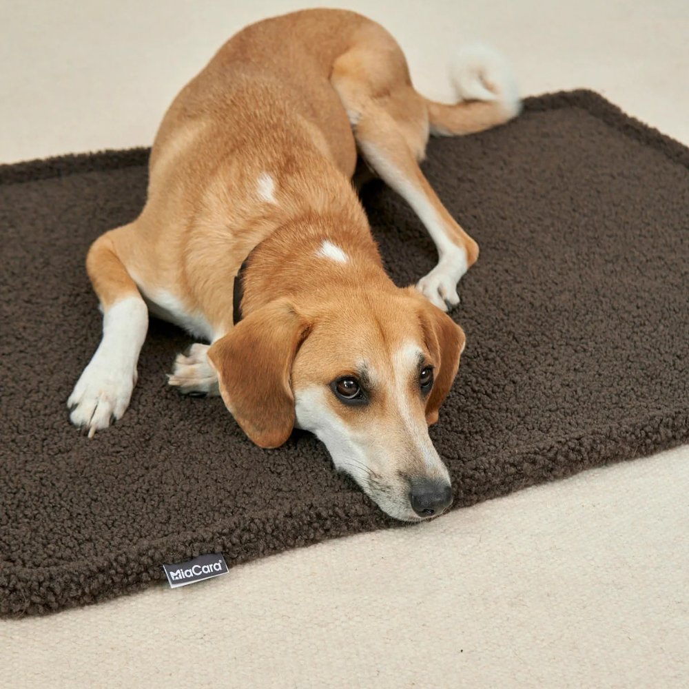 MiaCara Senso Hundedecke Schokolade mit Hund
