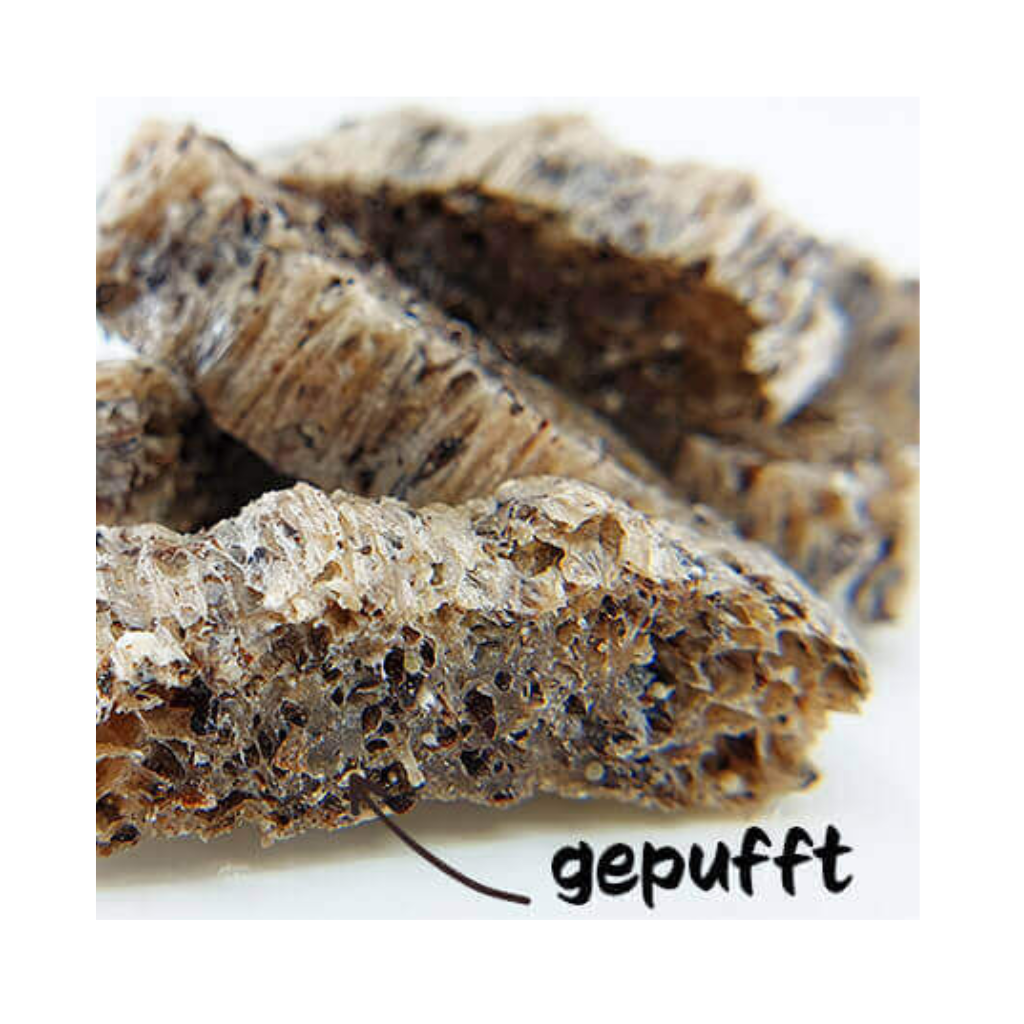 QChefs Mminis Hund
