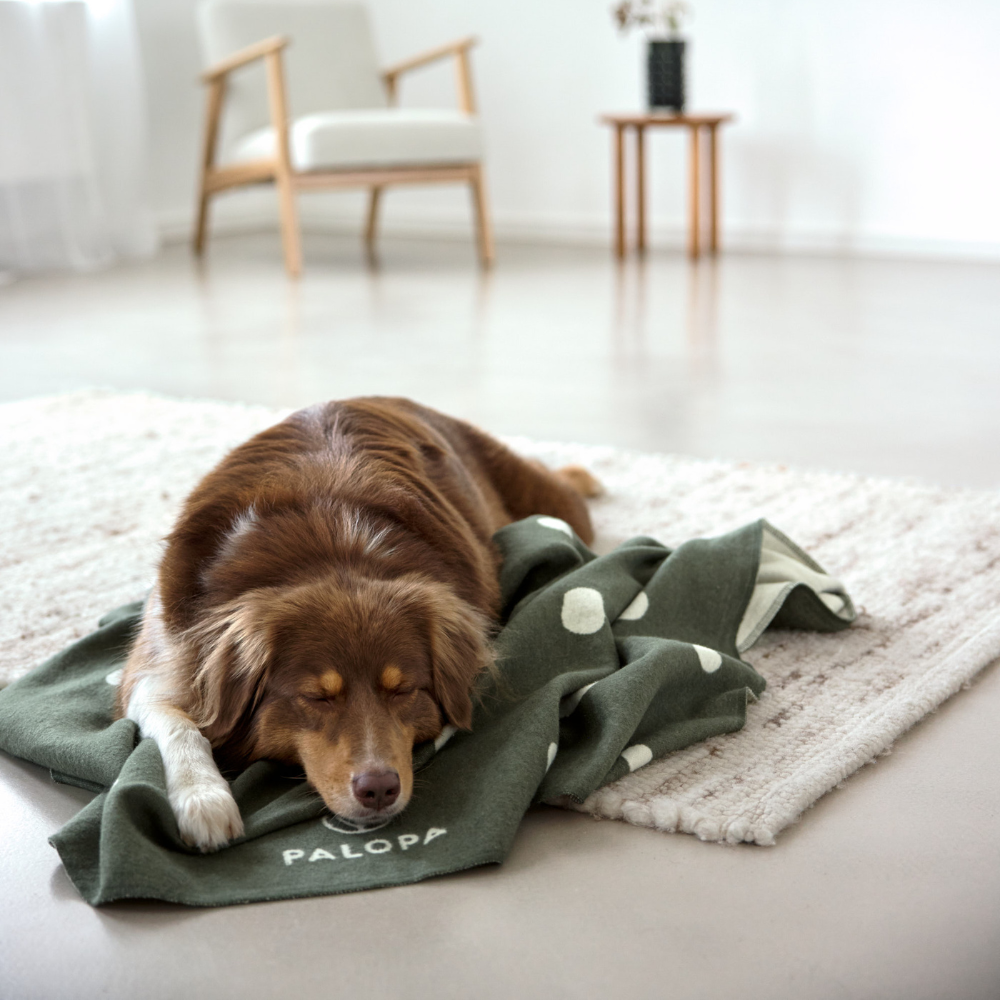 Moodbbild Hund auf Hundedecke IDA Punkte Dunkelgrün 100 cm x 140 cm - PALOPA