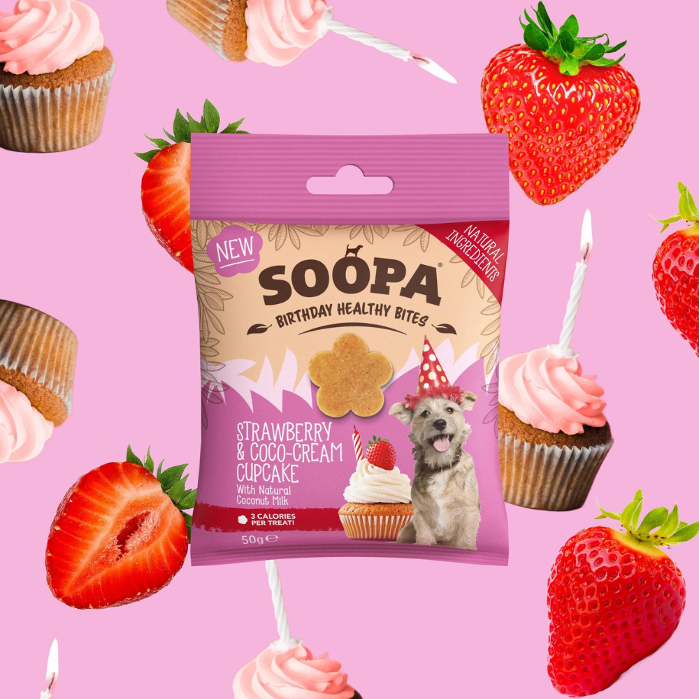 Moodbild Hundeleckerli Erdbeer- und Kokoscreme-Cupcake Healthy Bites - Soopa