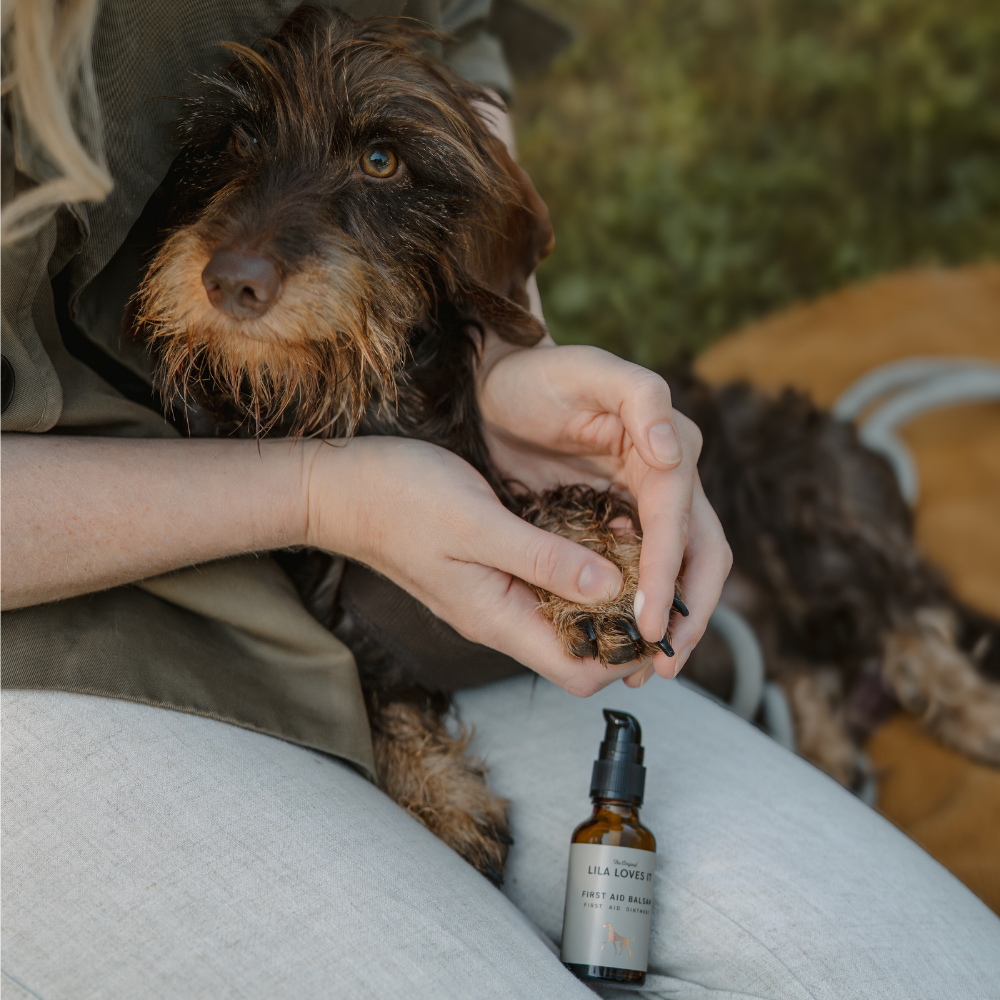 Moodbild Dackel New Design First Aid Balsam - LILA LOVES IT