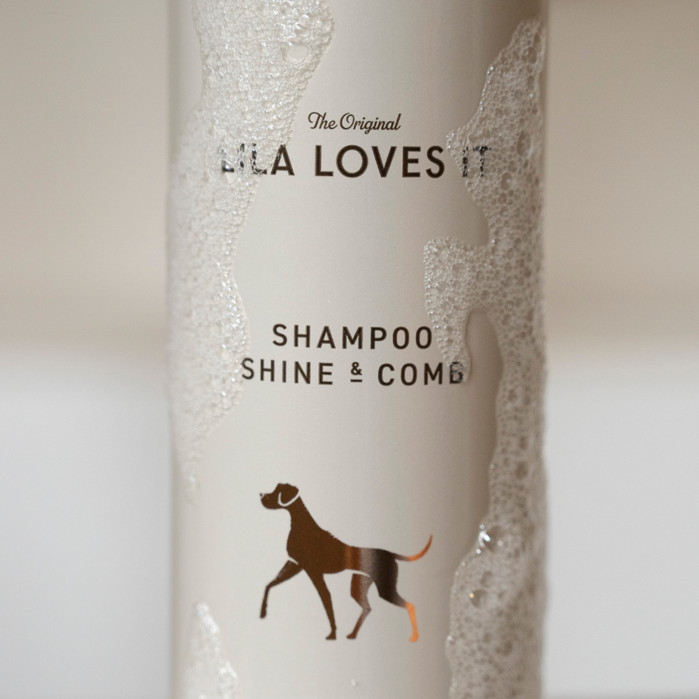 Moodbild New Design Shampoo Shine & Comb mit Schaum - LILA LOVES IT