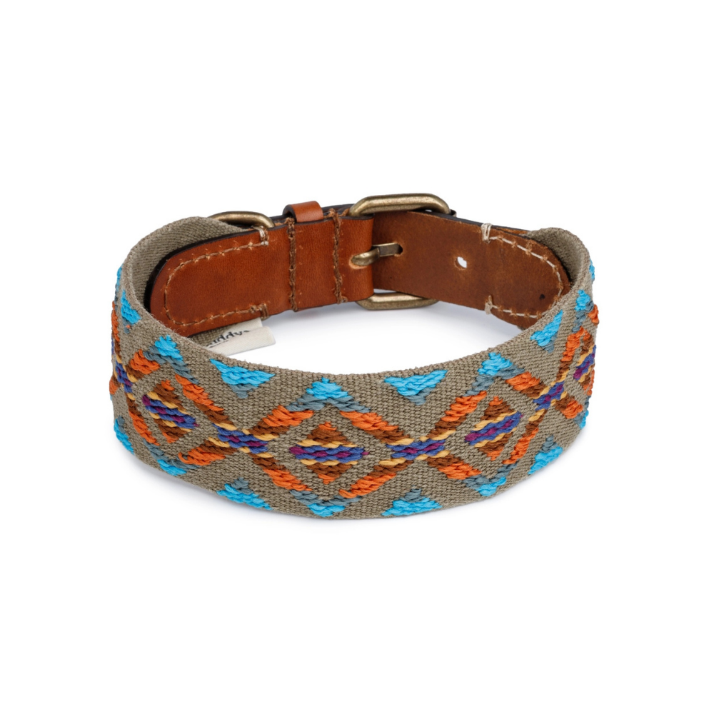 Muster Halsband ETNA Grün - Buddys Dogwear