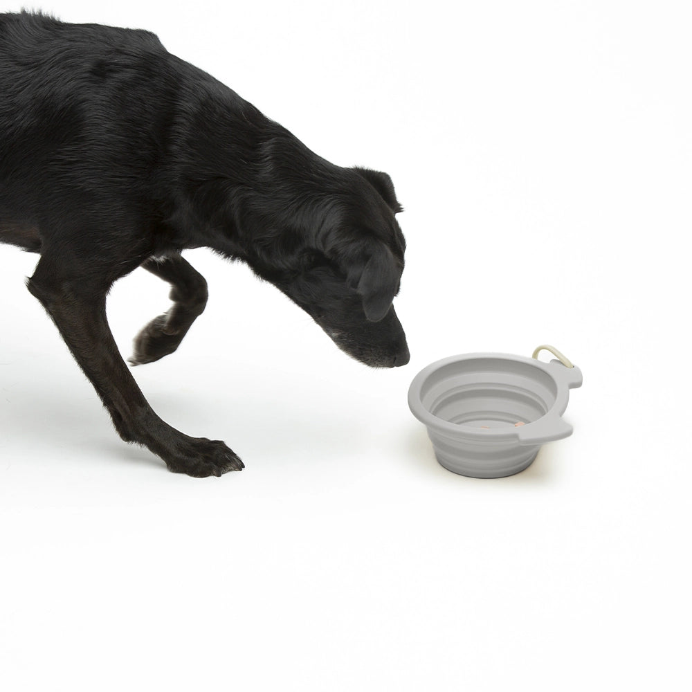 faltbarer Reisenapf aus Silikon 500 ml Rosa | Taupe