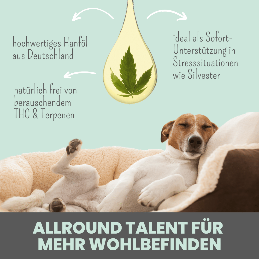 Noms+ CBD Tropfen für Hunde zur äußerlichen Anwendung