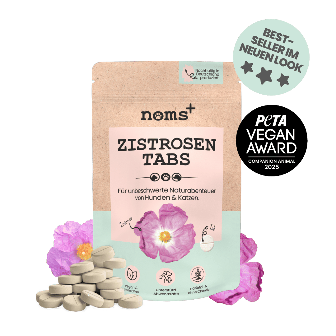 noms+ Zistrosen Tabs - 100% natürliche Leckerli für Wald- & Wiesenspaziergänge