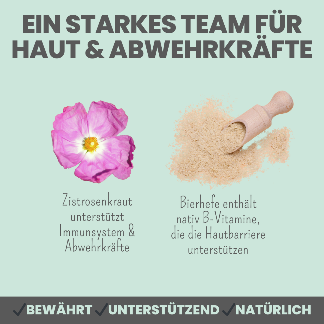 noms+ Zistrosen Tabs - 100% natürliche Leckerli für Wald- & Wiesenspaziergänge